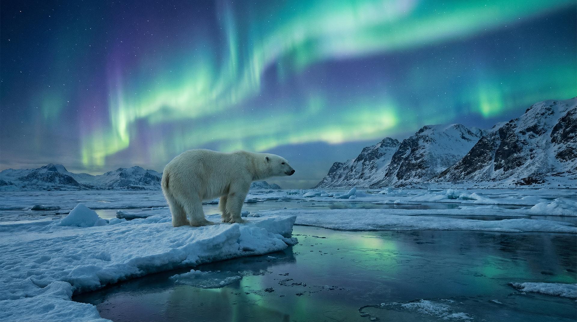 探花杰尼龟视频